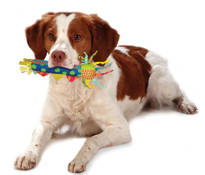 RuiChi Trade (ShenYang) Co.,Ltd. – Pet bag 2