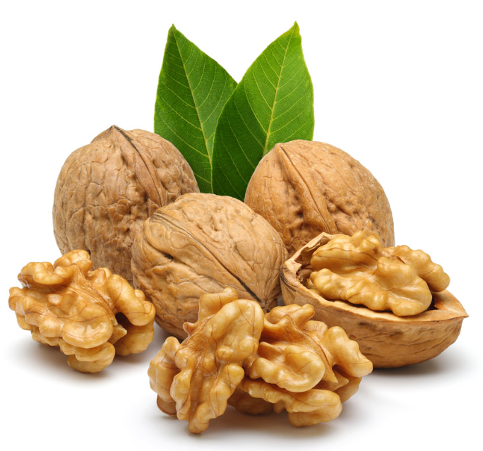 walnut