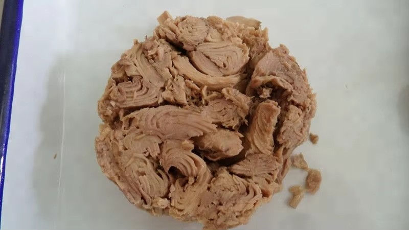 ZHONGGANG FUJIAN AQUATIC FOOD CO.,LTD – bicicleta de montaña 3