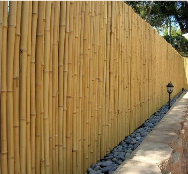 Bamboo Trellis