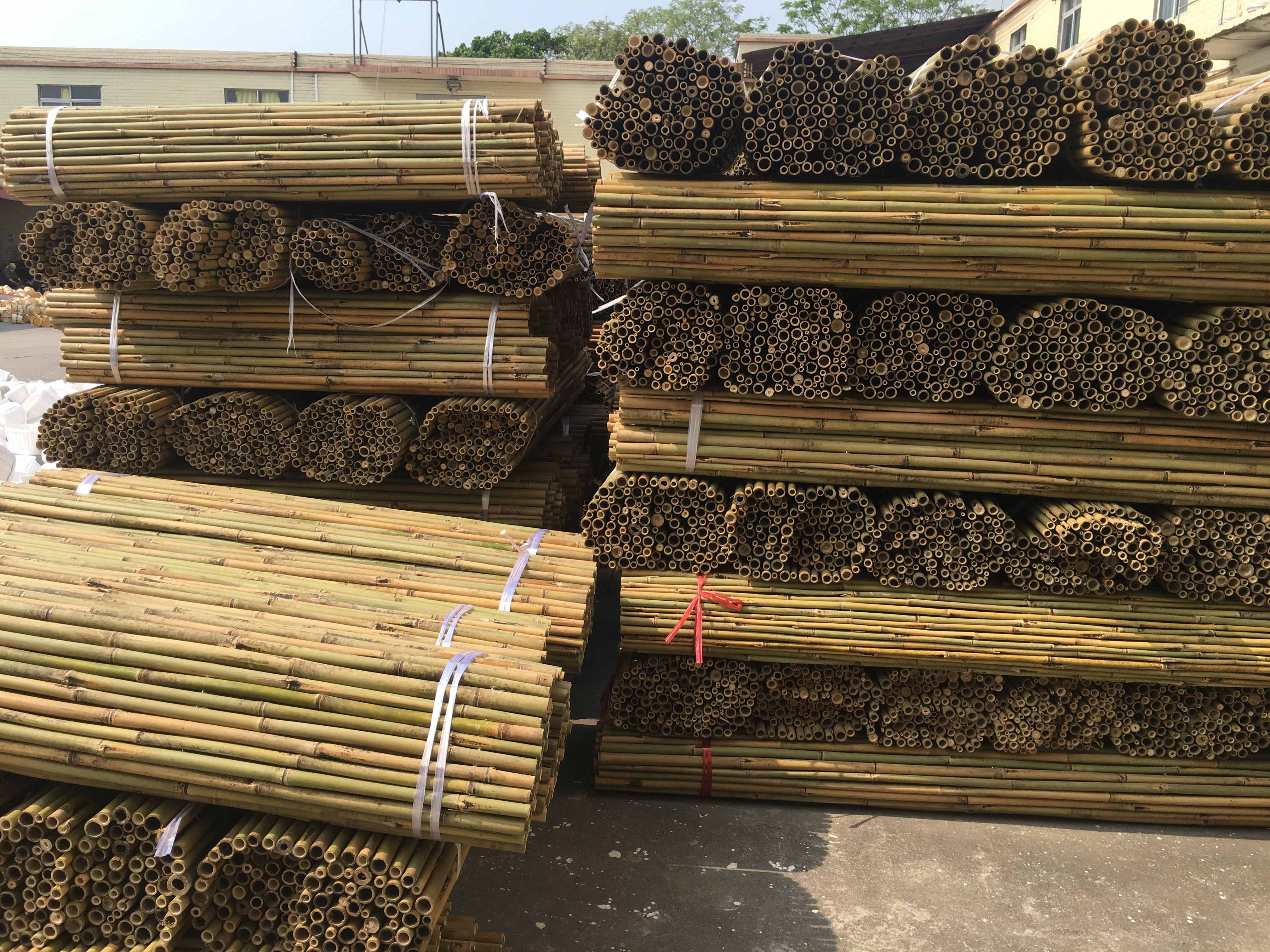 Bamboo Fence