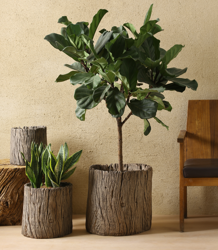 Cement flower pot