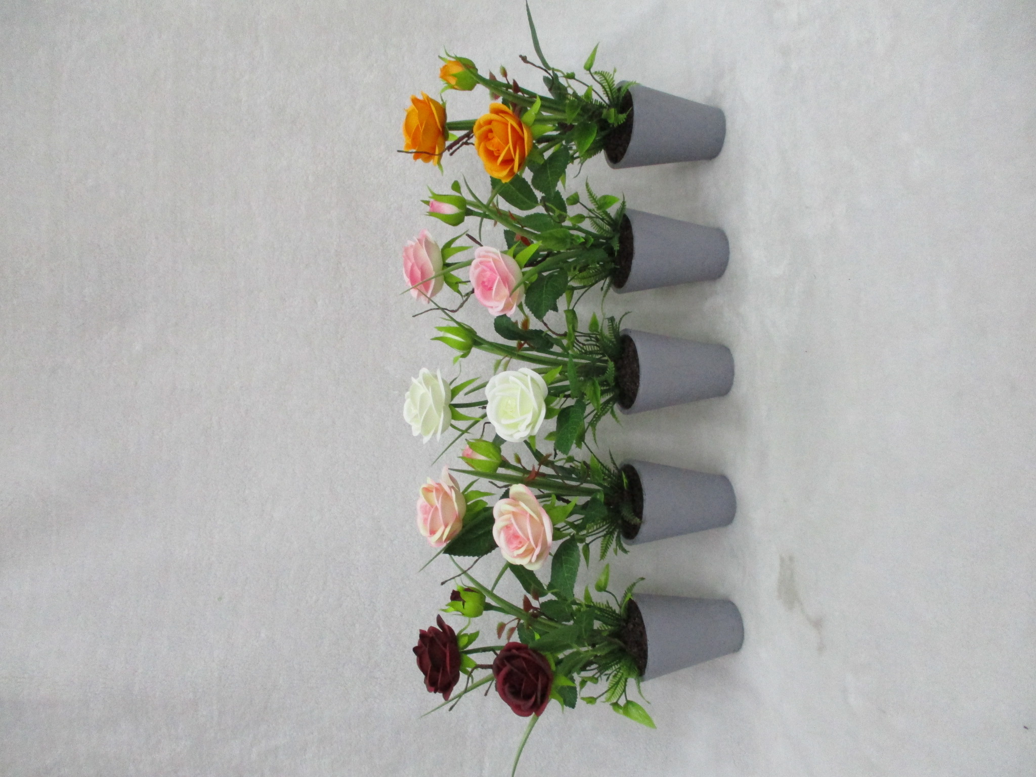 Potted 3h Rose