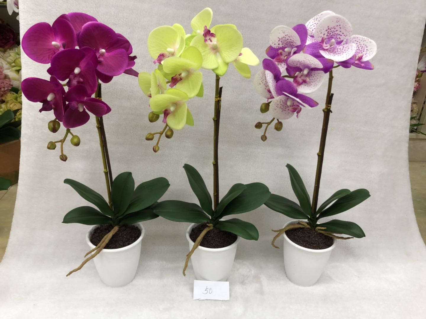 069#(Rubber)potted Orchid