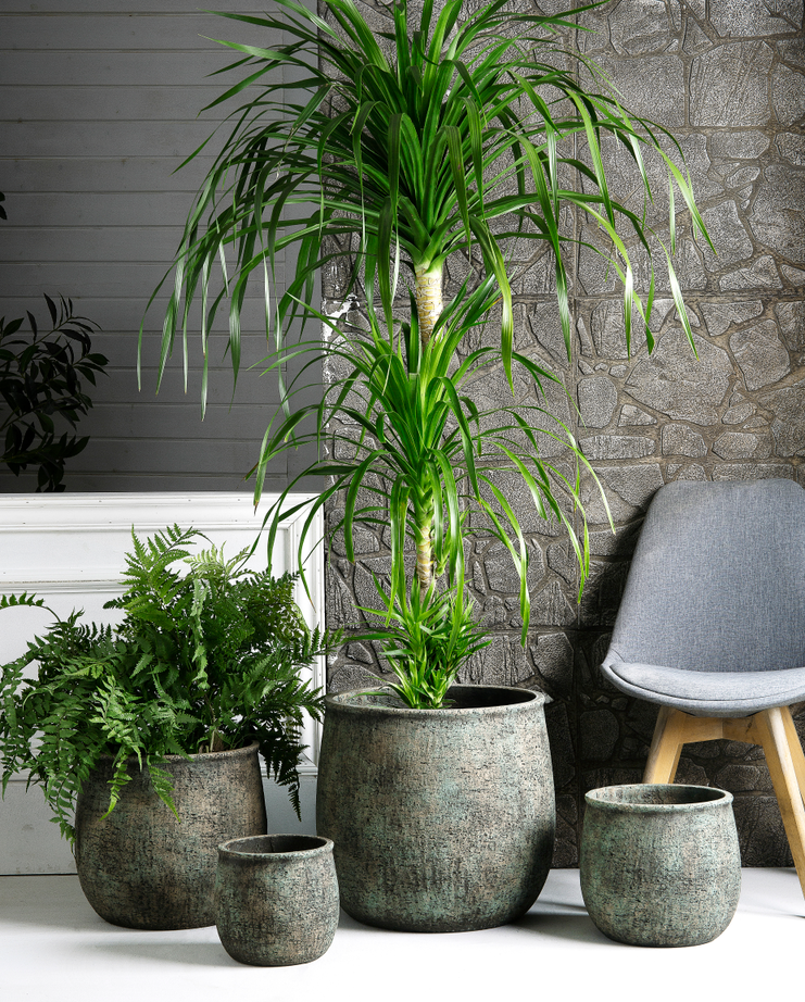 Cement flower pot
