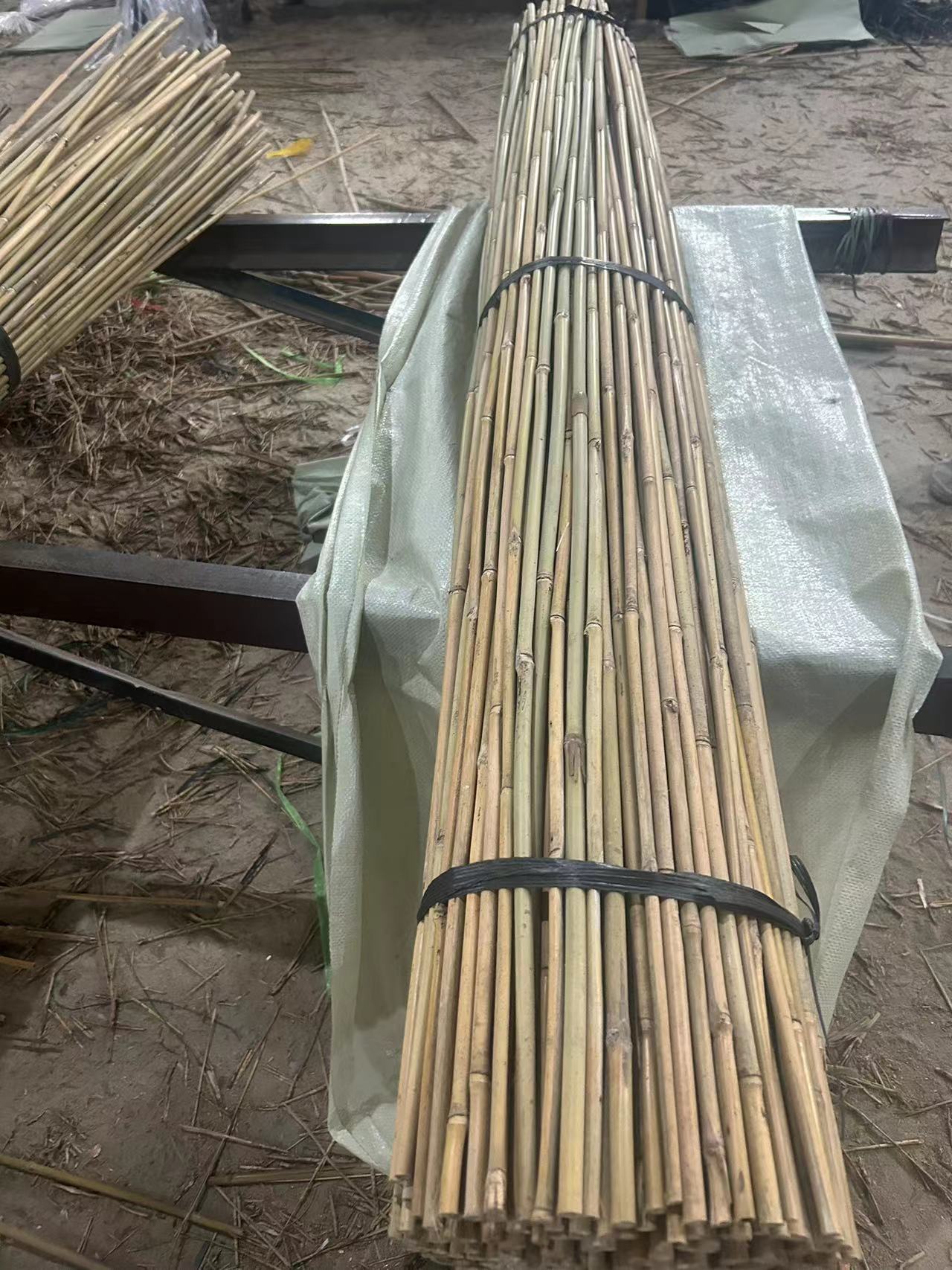 Bamboo canes
