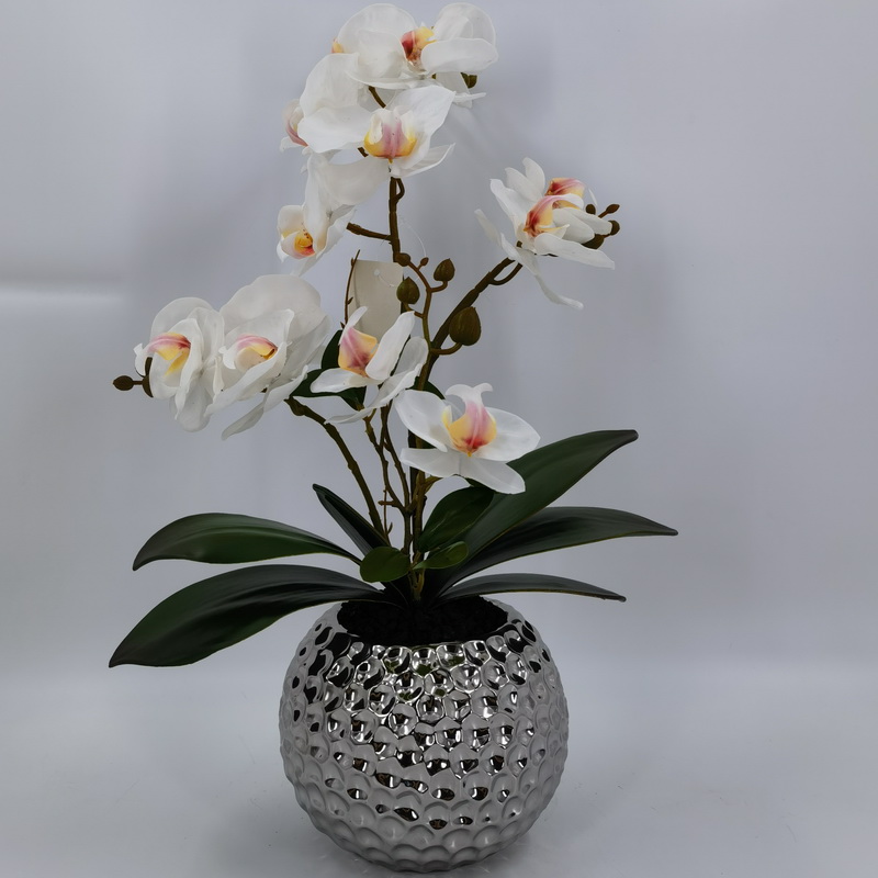 Big phalaenopsis in ceramic pot,5 stems,h:48cm