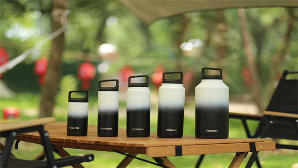 Wuyi Pengfei Electrical Appliances Co., Ltd. – thermos kettle 1