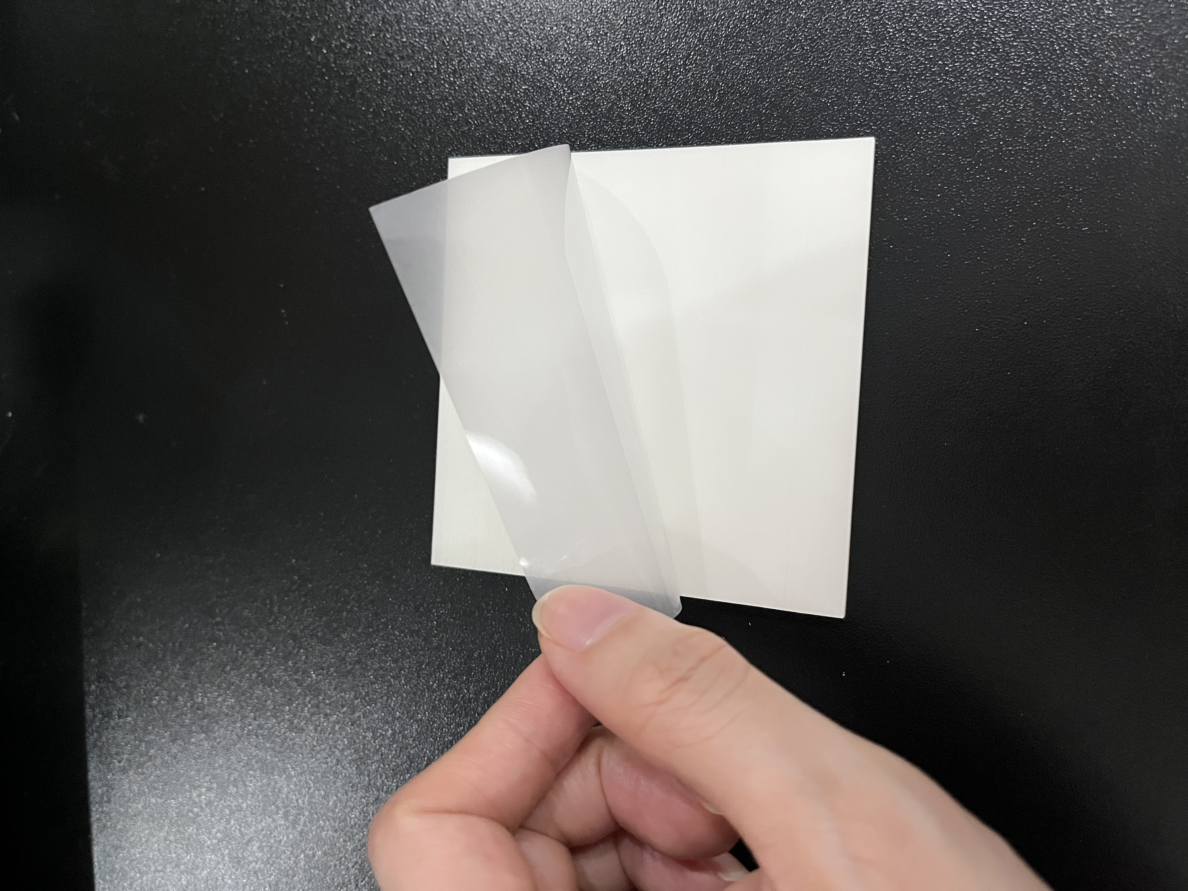 Pet Sticky Notes, Transparent Sticky Notes