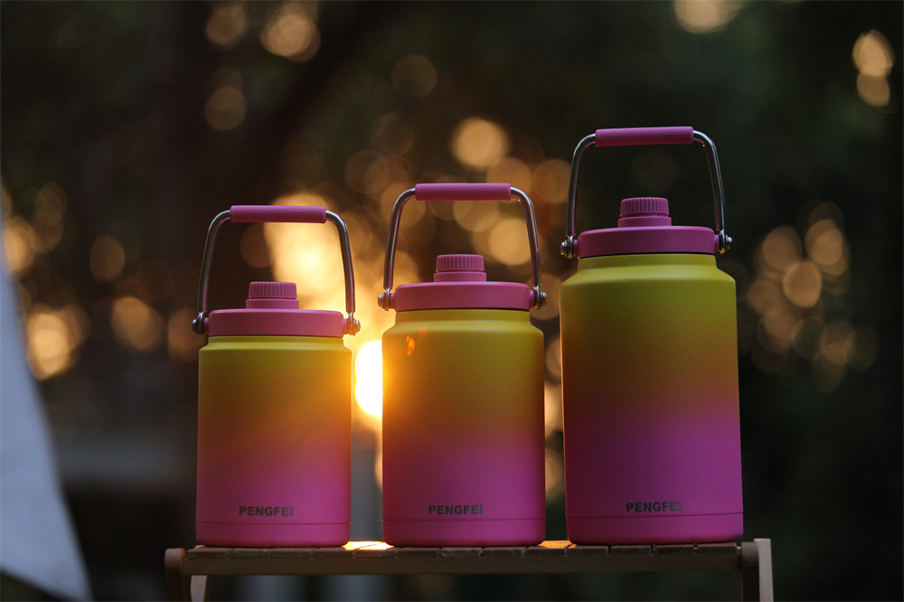 Wuyi Pengfei Electrical Appliances Co., Ltd. – vacuum cup 2