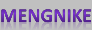 Shenzhen MengNiKe Trading Co., Ltd.