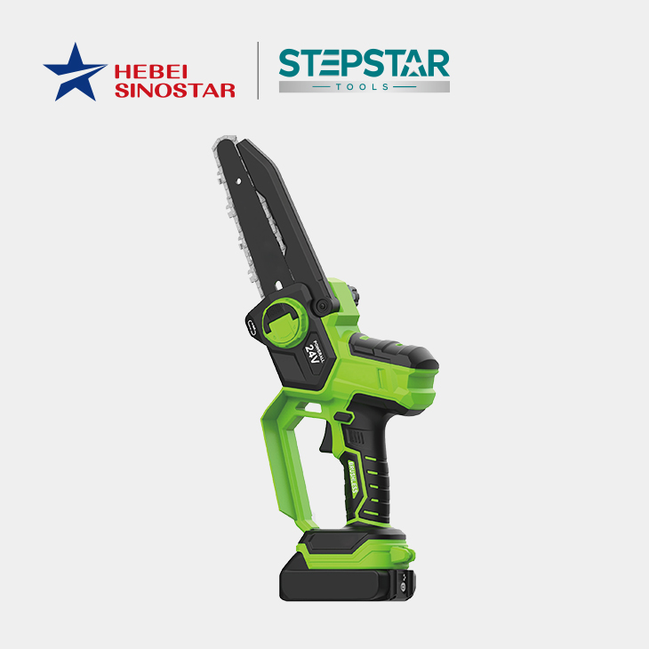 STEPSTAR Cordless Chain Saw