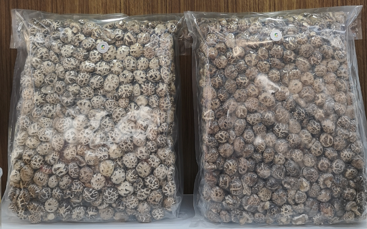 HUBEI PROVINCIAL CEREALS OILS & FOODSTUFFS I/E  GROUP CORPORATION LTD. – Photos produits 3