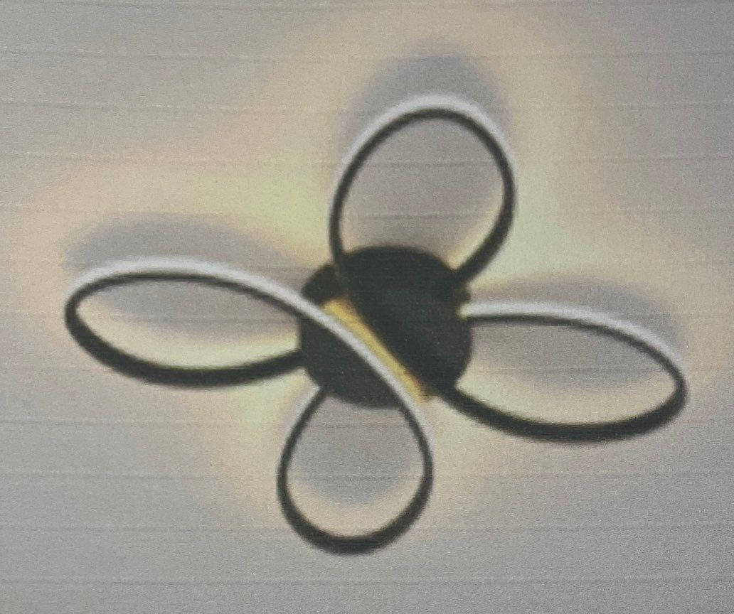 Ceiling Lamp