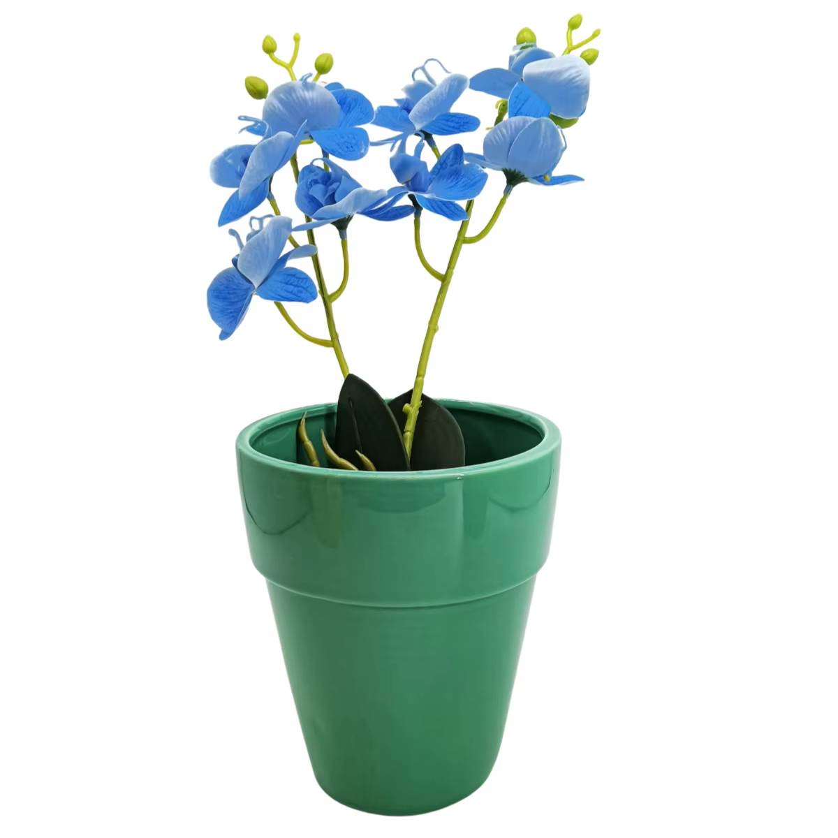 ceramic Orchid Pot