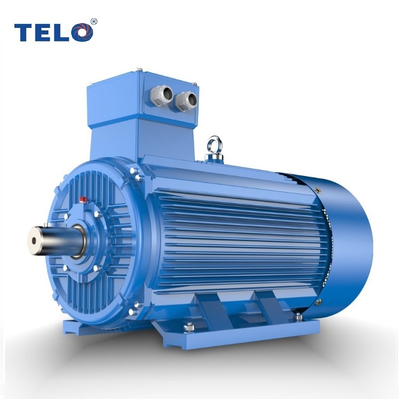Telo Y2/IE3/IE3/IE5 Three-phase asynchronous induction electric motors