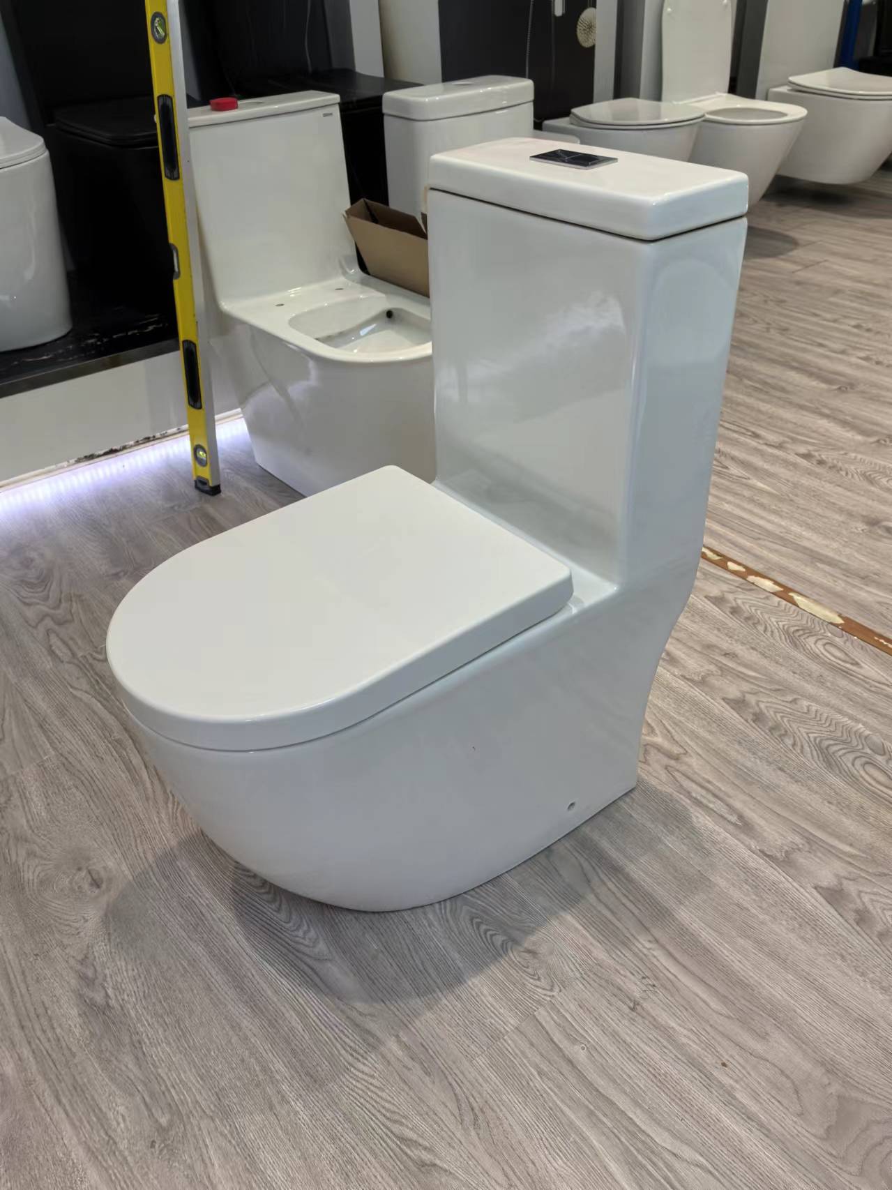 toilet