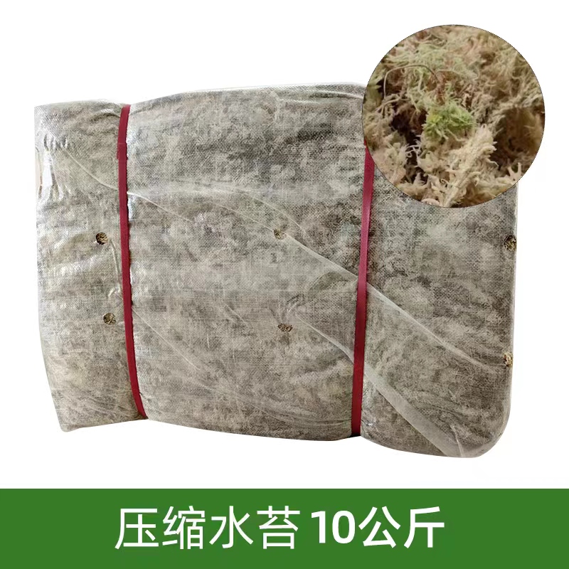 Guizhou Fenyuan Agricultural Development Co.,Ltd – colchoneta de yoga 4