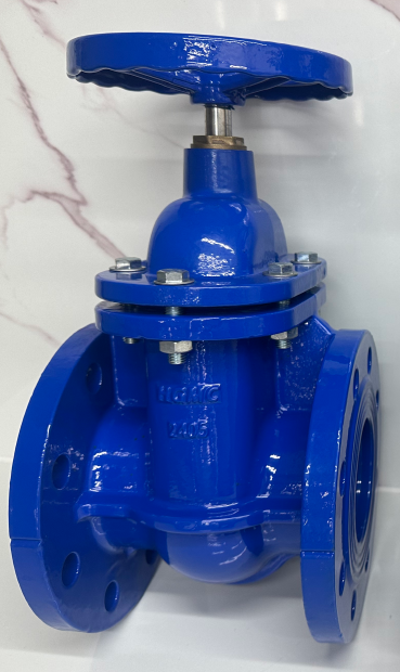 gate valve