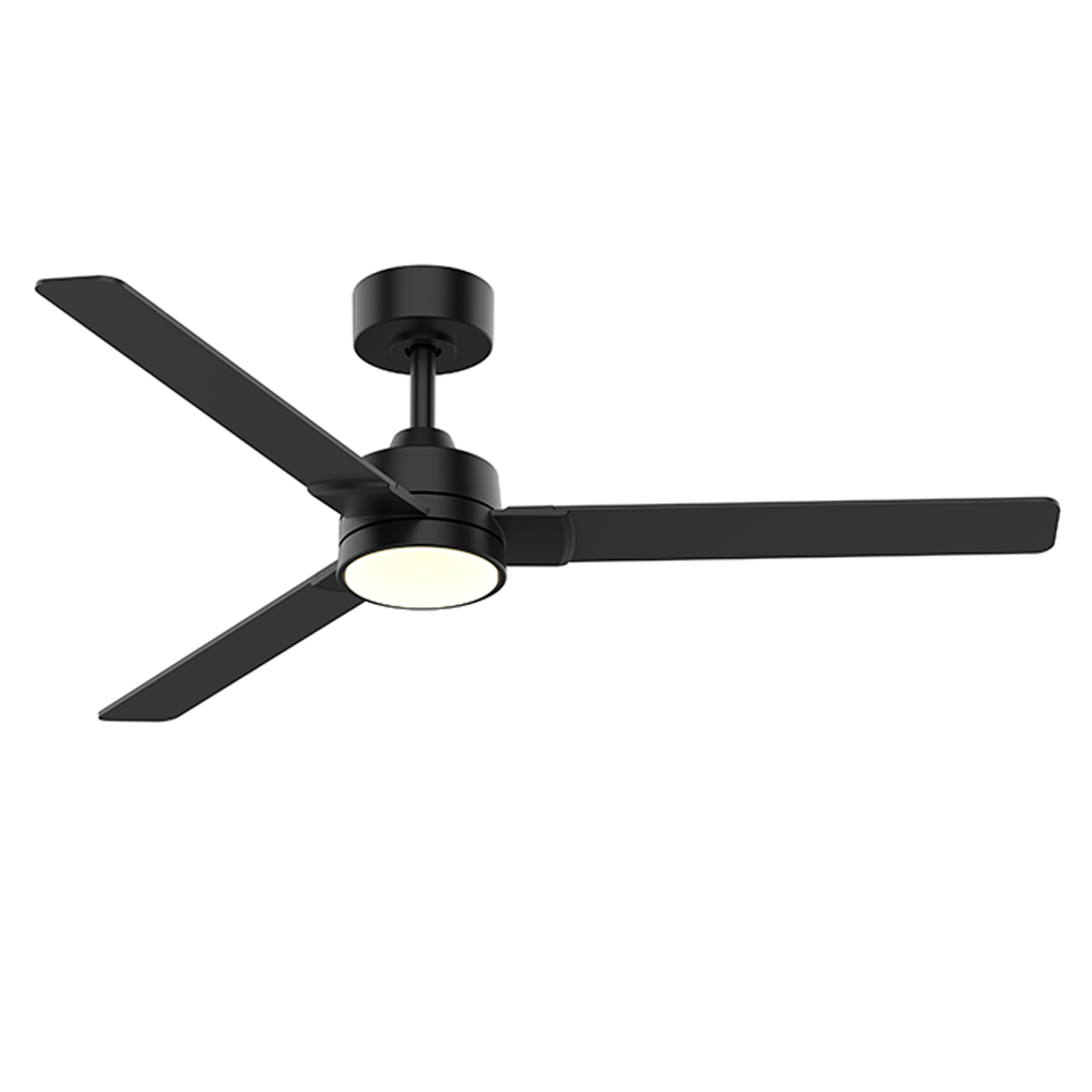 Ceiling fans with light