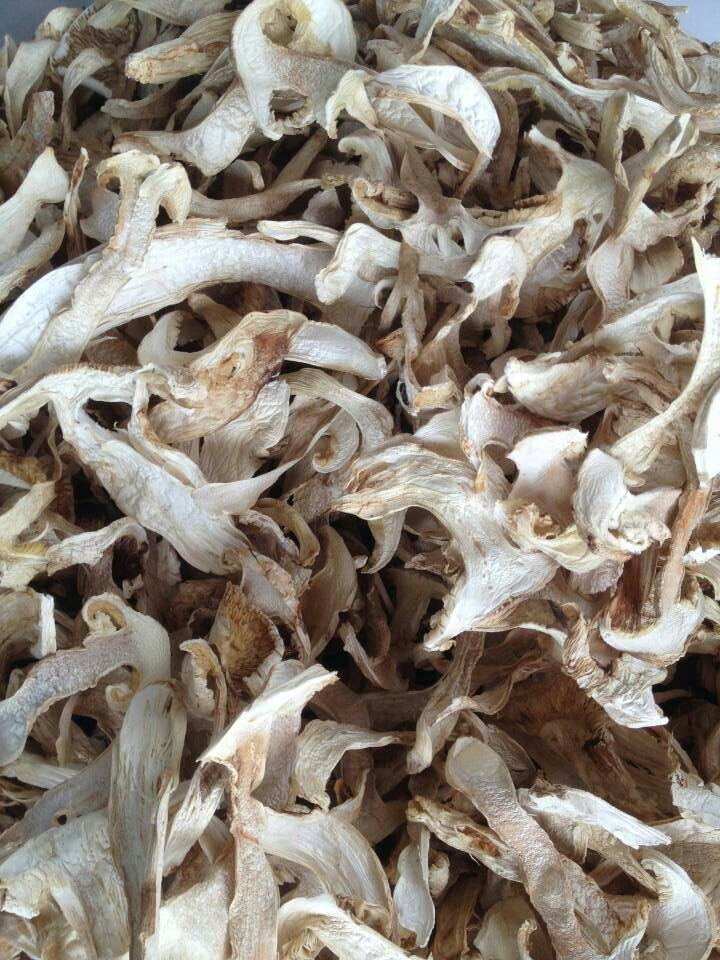 YUNNAN KAYSEN FOOD CO., LTD – bicicleta de montaña 3