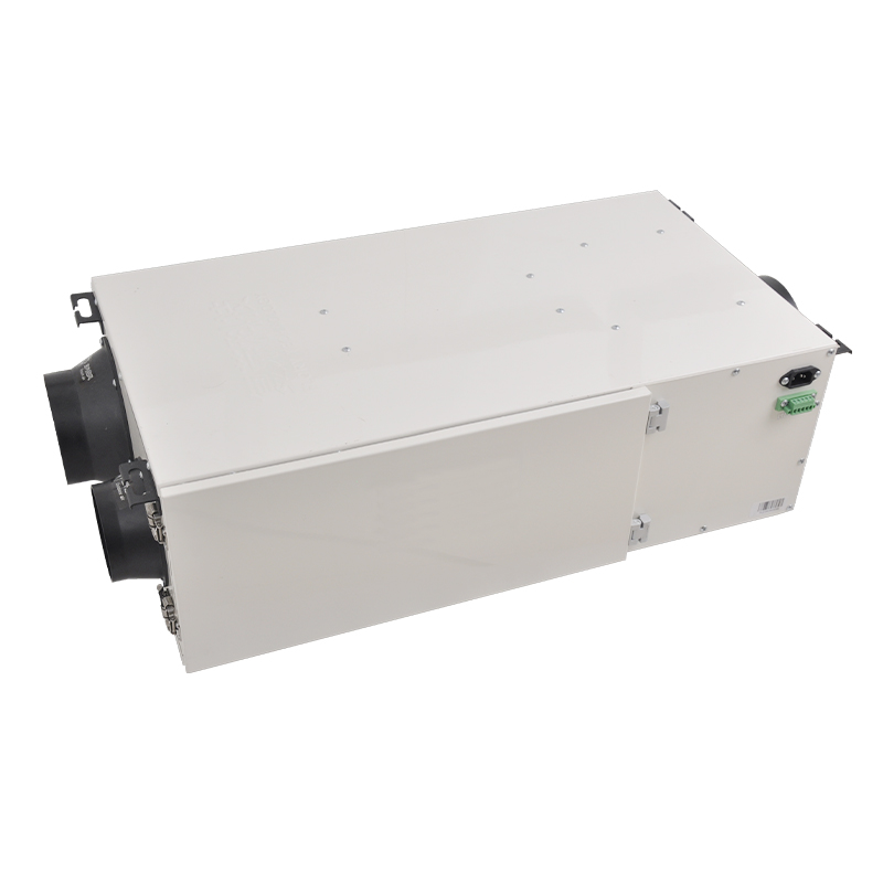 Air purification and disinfection machine