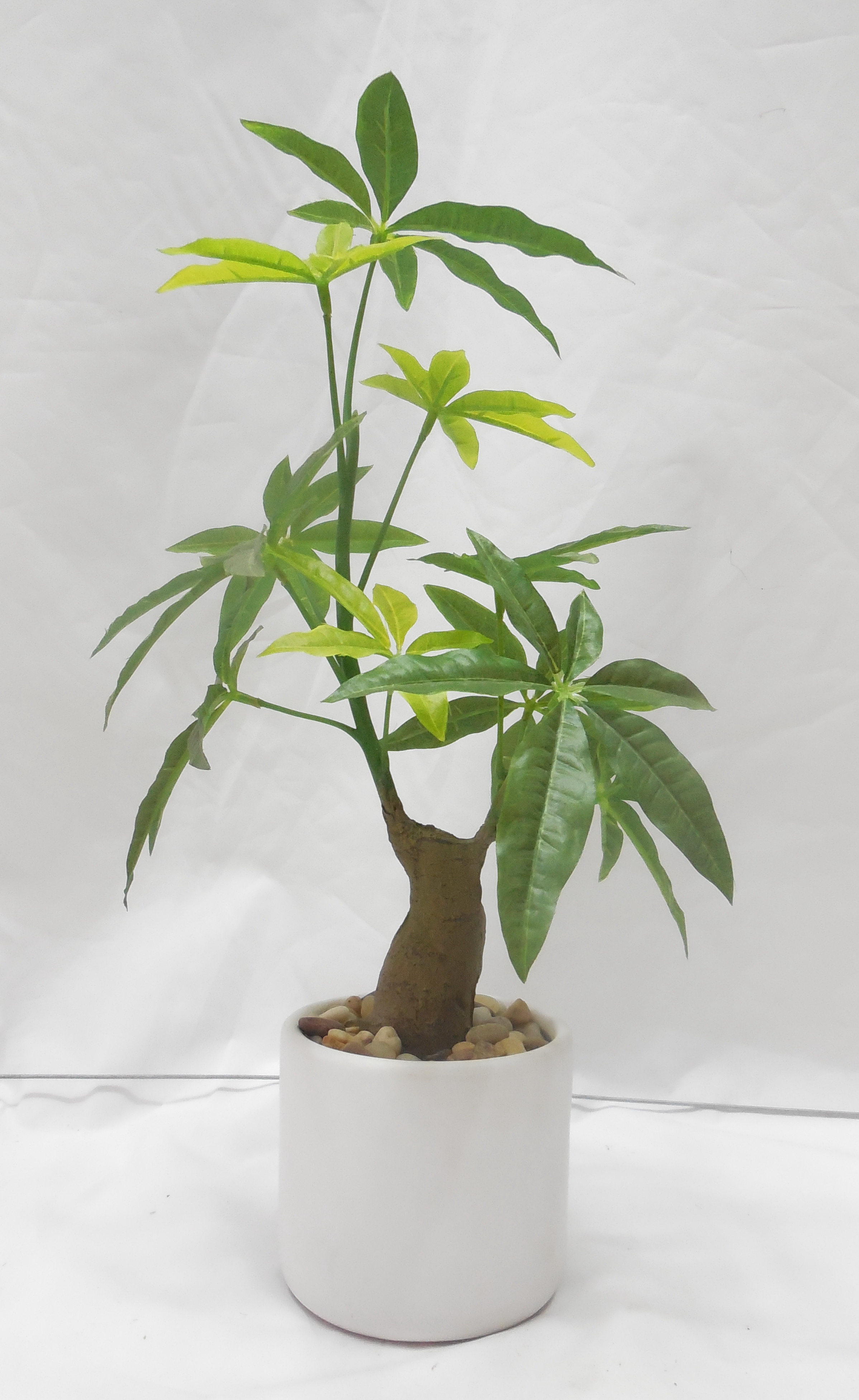 Zhaoqing Gaoyao Hostwin Silk Flower Limited – vela aromática 2