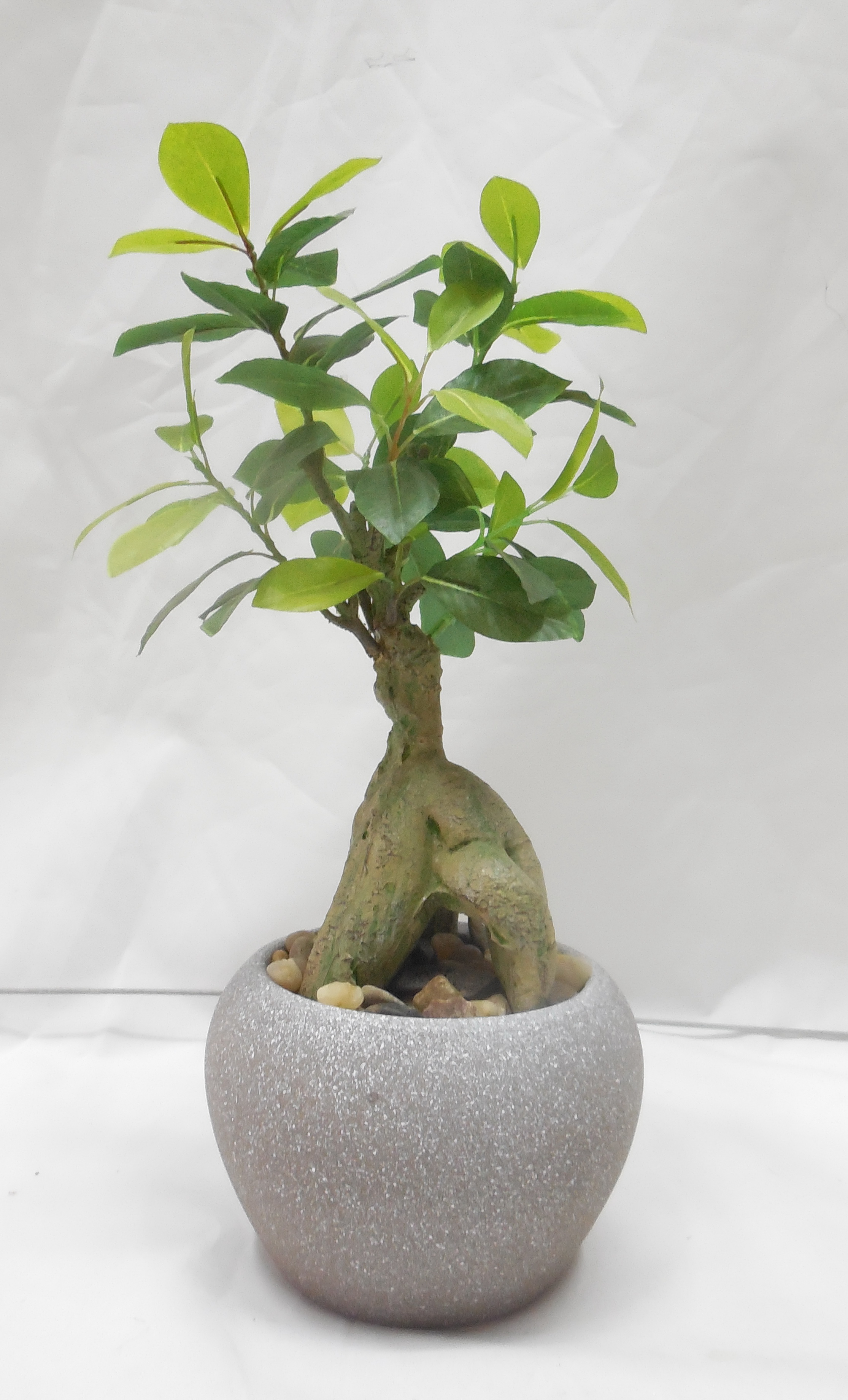 Zhaoqing Gaoyao Hostwin Silk Flower Limited – portarretrato 3