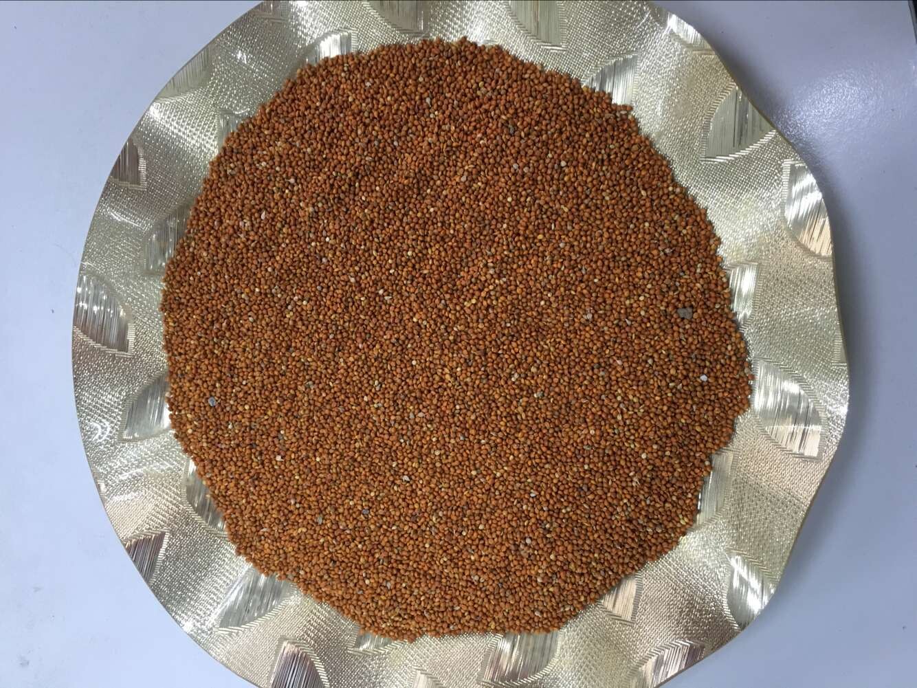 Red millet in husk