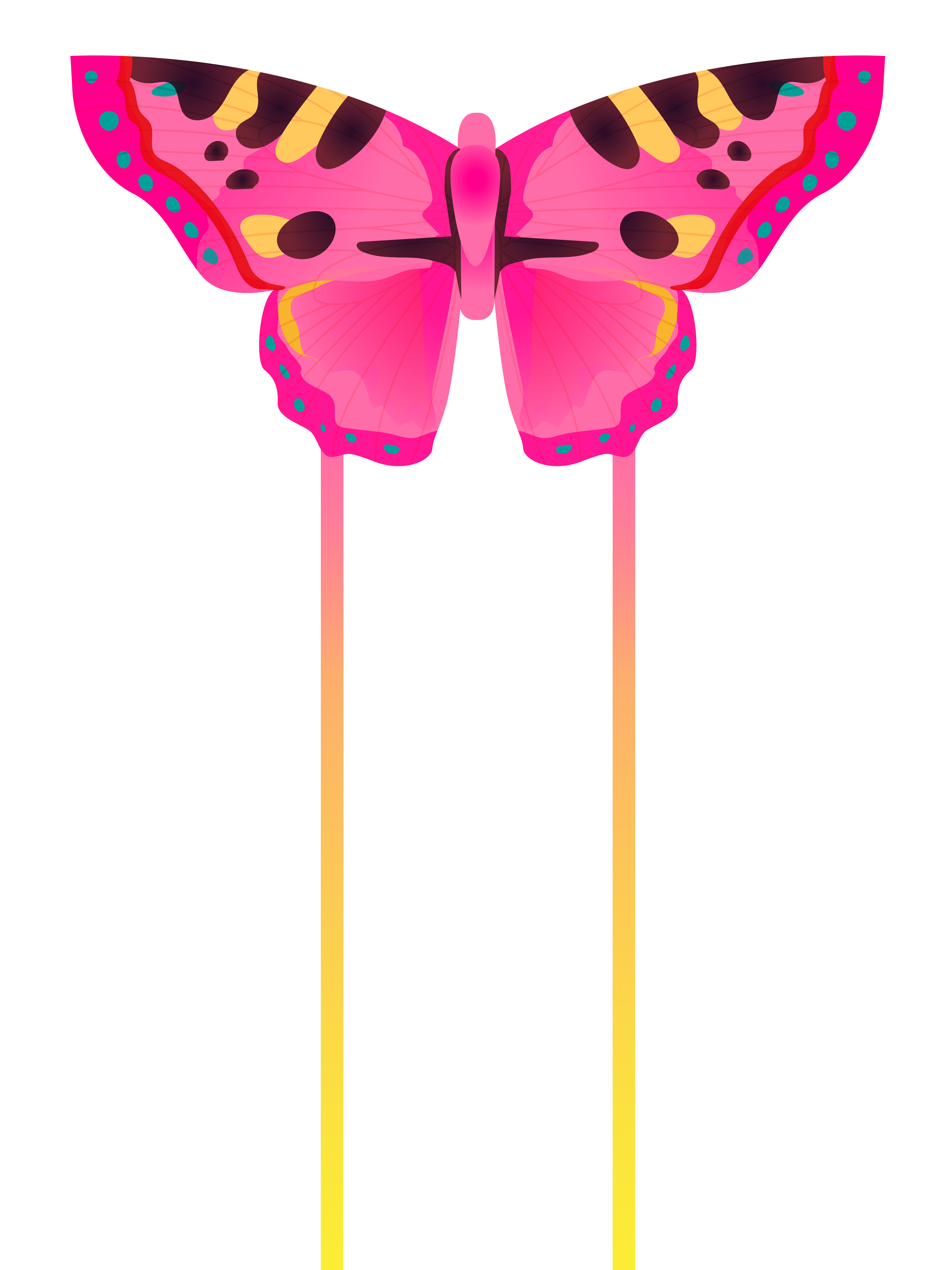 butterfly kite