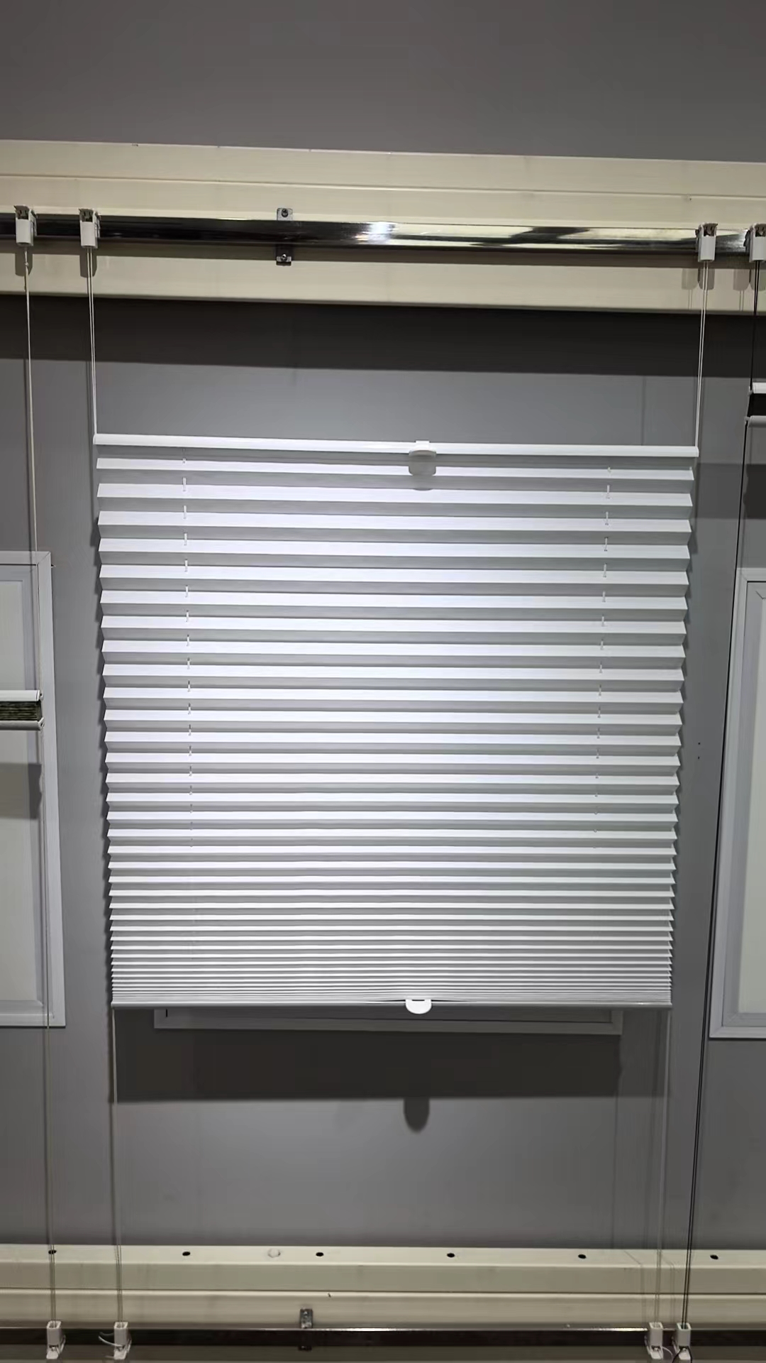 Pleated Blinds