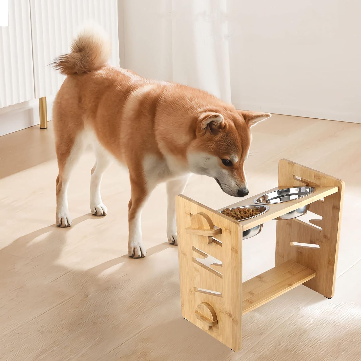 Dog Bowls for Medium Dogs
