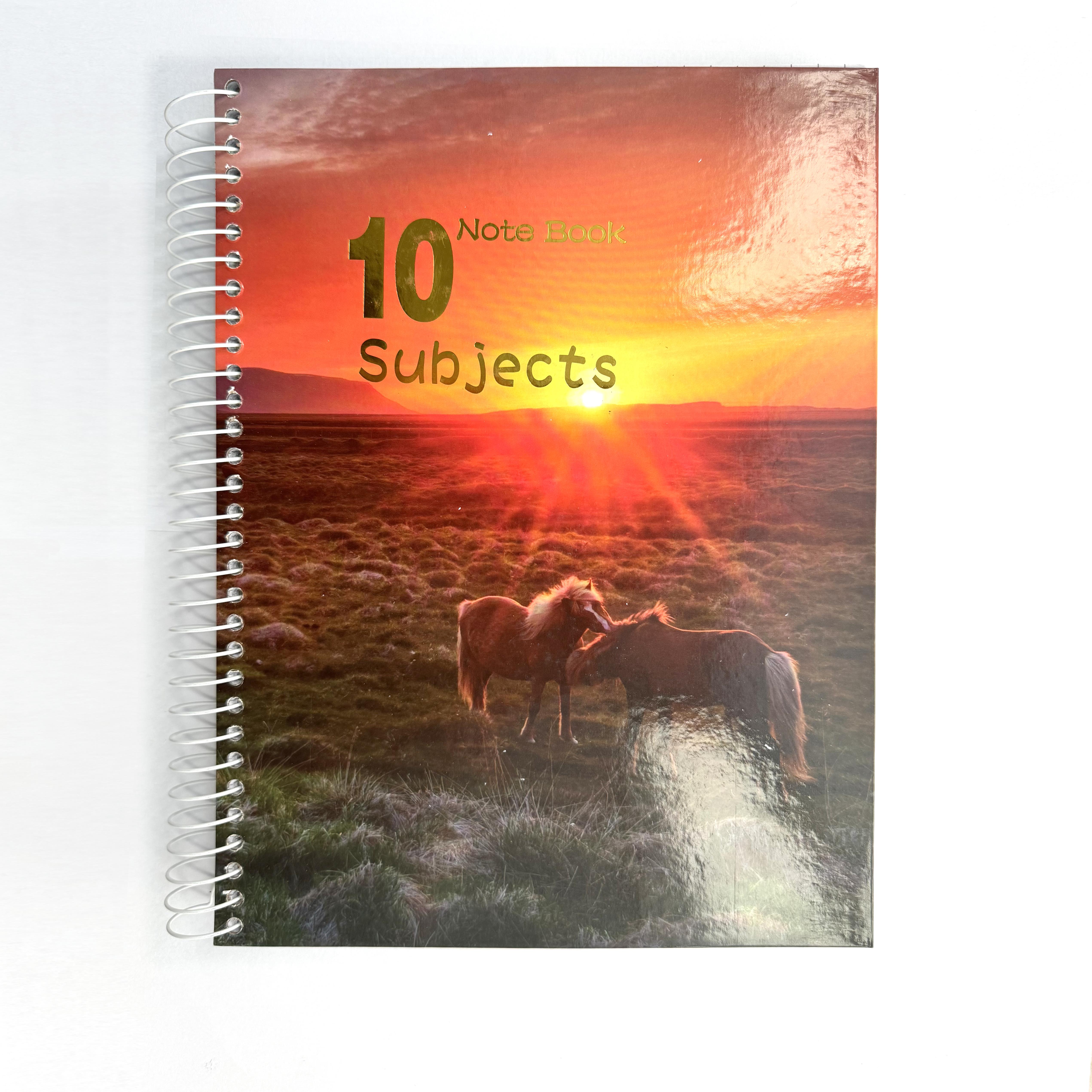 Roffey(Shanghai)international Co.,Ltd – cuaderno de espiral 2