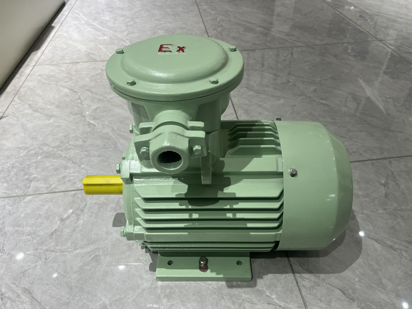 Ex-proof motor