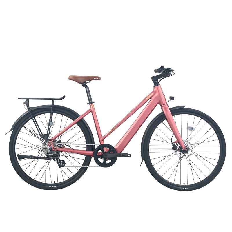 FOSHAN NENITH SPORTS CO.,LTD – Female E-bike 2