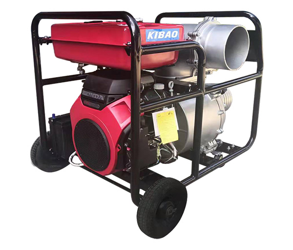 Gasoline Water Pump
