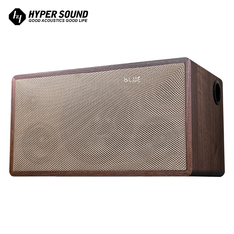 2.1ch Hifi bluetooth speaker
