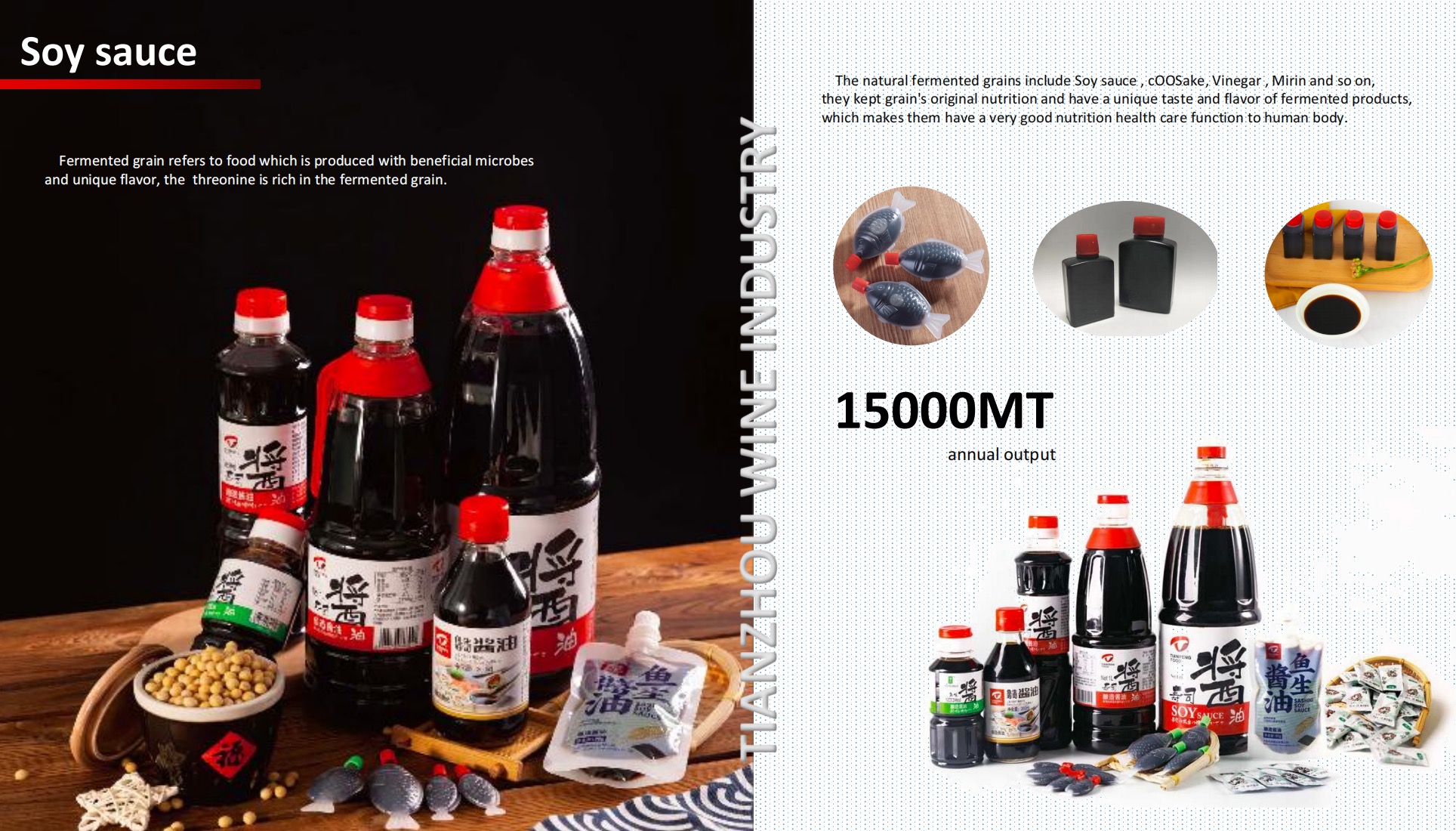 Dalian Tianpeng Food Co.,Ltd. – bicicleta de montaña 3