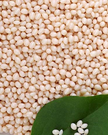 Dongguan Xinhai Environmental-Friendly Material Co.,Ltd – matriz de metal 2