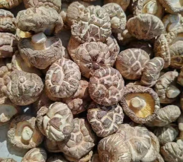 SHAANXI SHANSHUI YUYUAN AGRICULTURAL TECHNOLOGY CO.,LTD – colchoneta de yoga 4