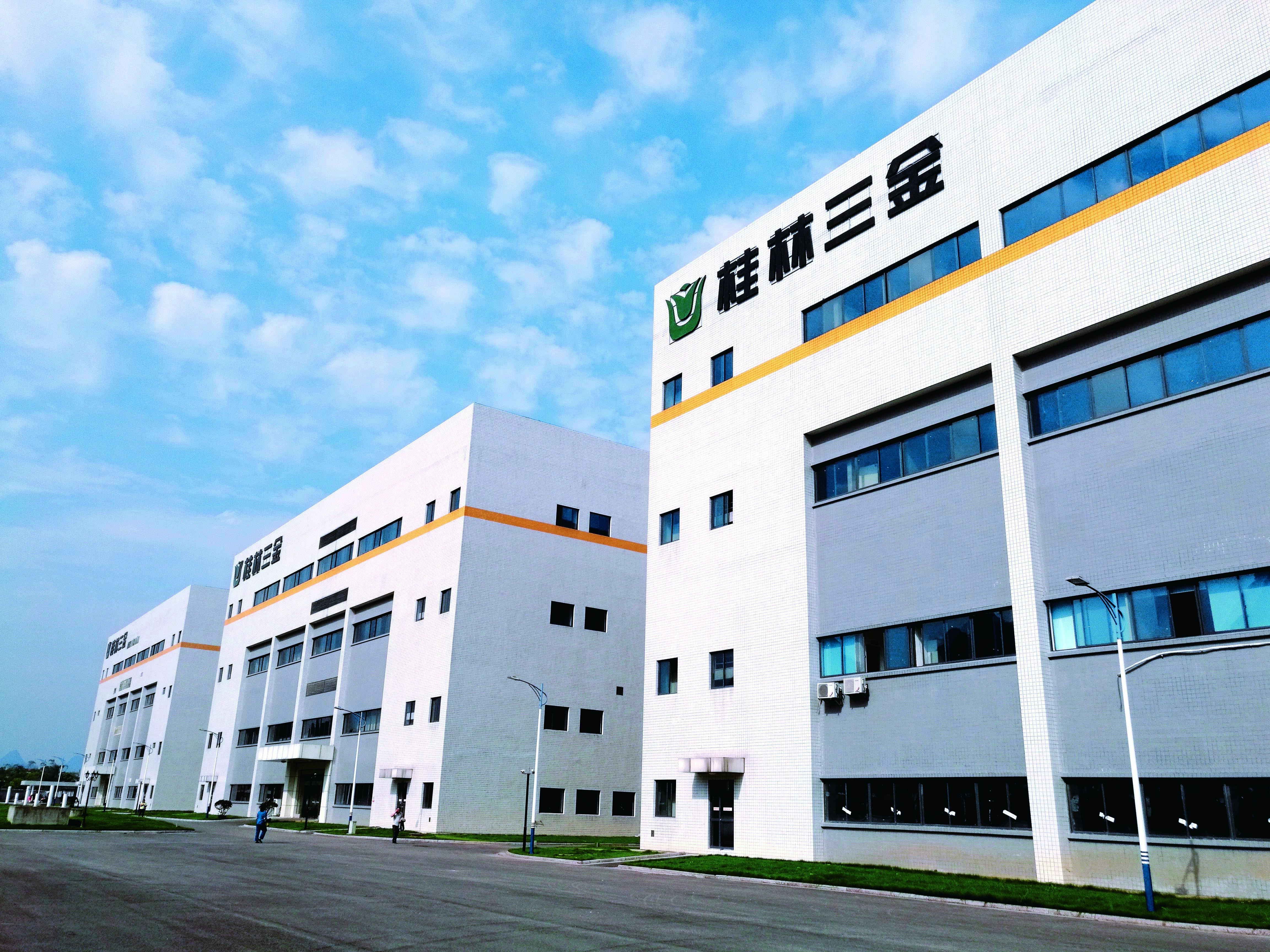 Guilin Sanjin Pharmaceutical Co., Ltd. – placa de circuito 1