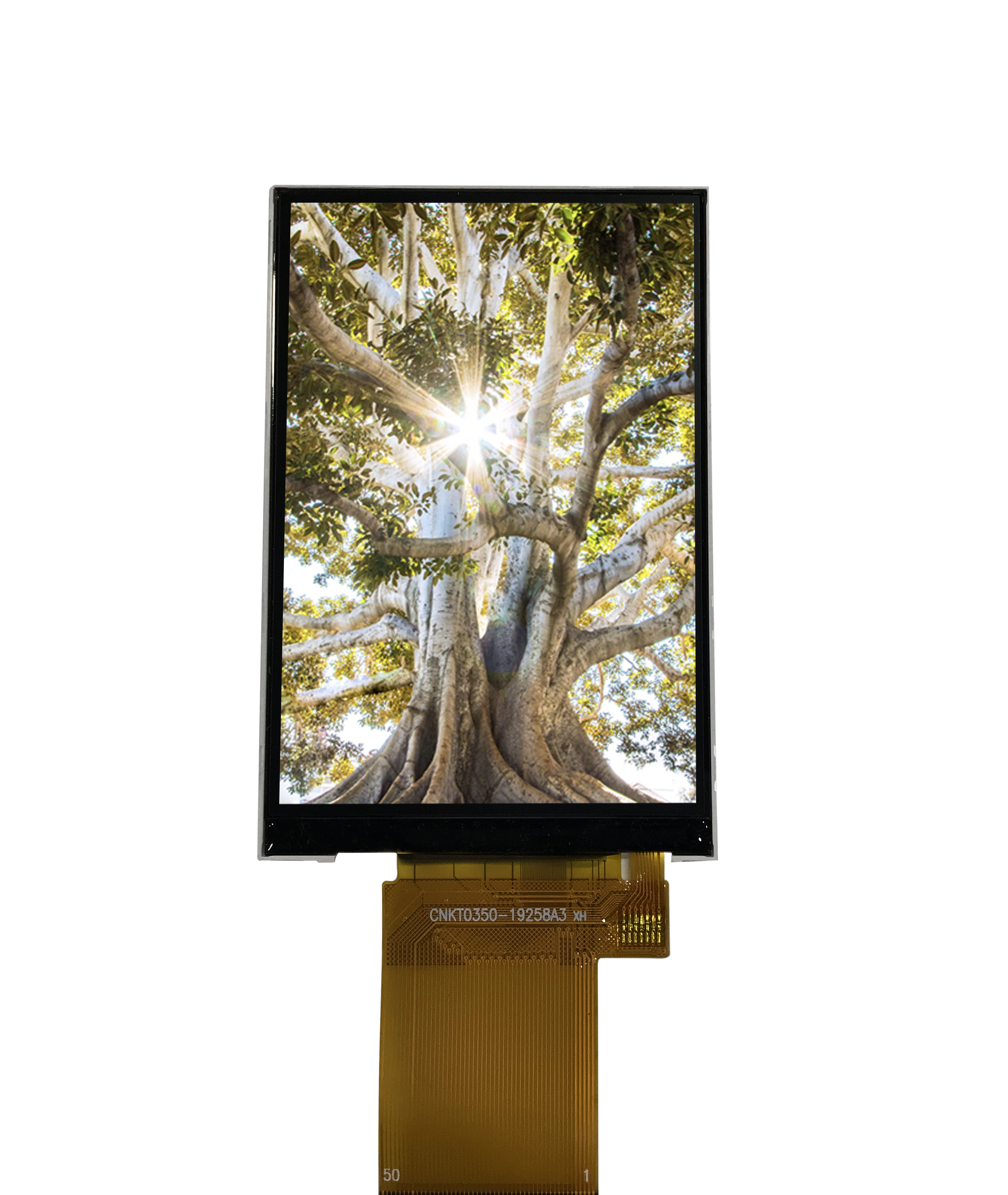 CNK TFT Display Module