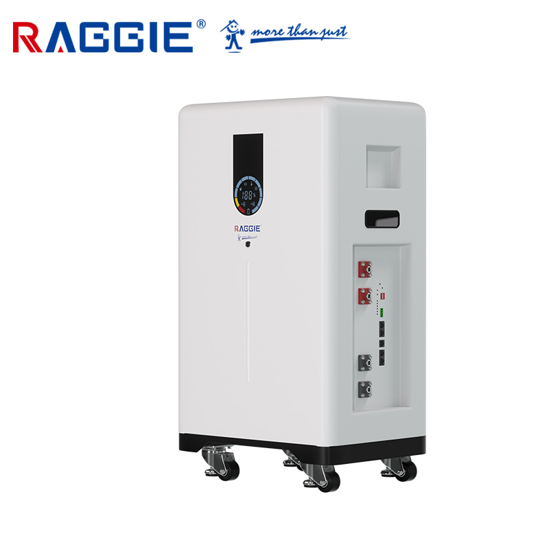 ZHEJIANG RAGGIE IMP & EXP CO.,LTD – Wholesalers 2