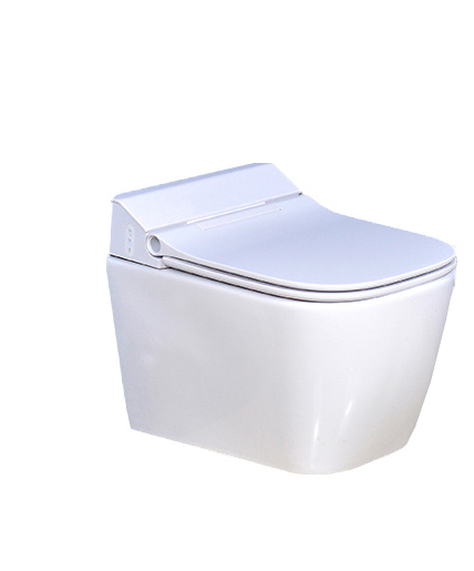 CH10603 Wall hung toilet