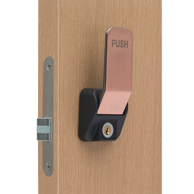 Push pull door lock