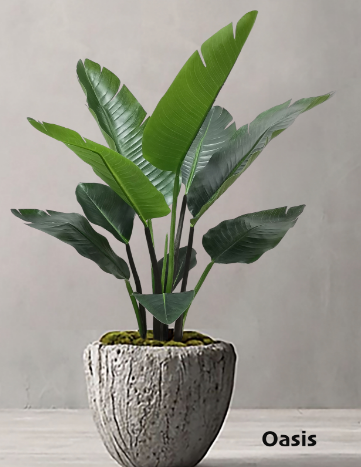 LONGCHUAN  OASIS  TECHNOLOGY CO. , LTD – Product photos 3