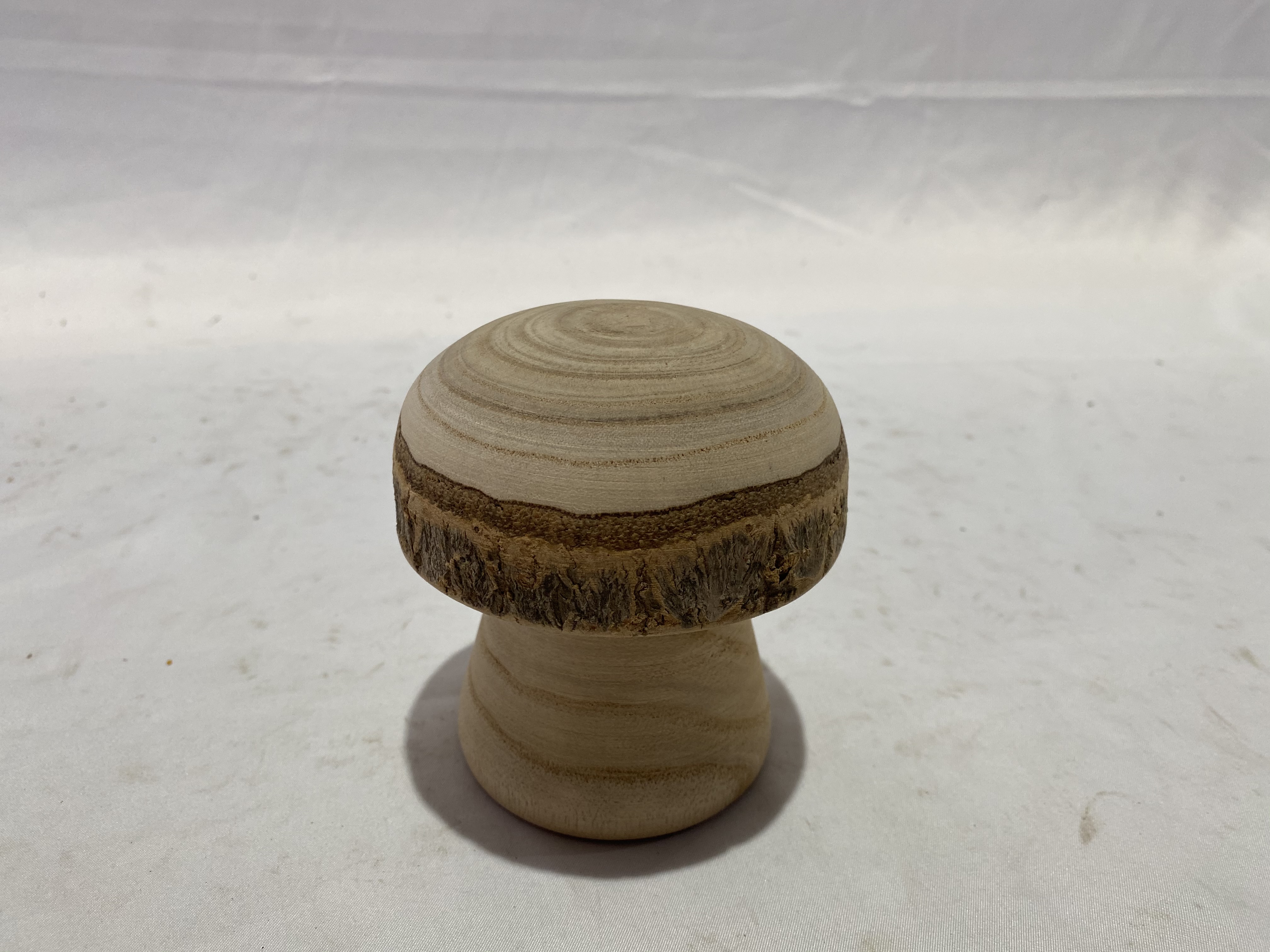 Wooden Mushroom