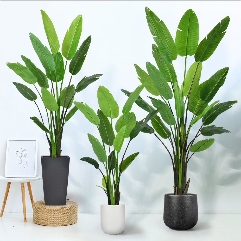 Guangzhou Haihong Gardening and Landscaping Engineering Co., Ltd – portarretrato 3