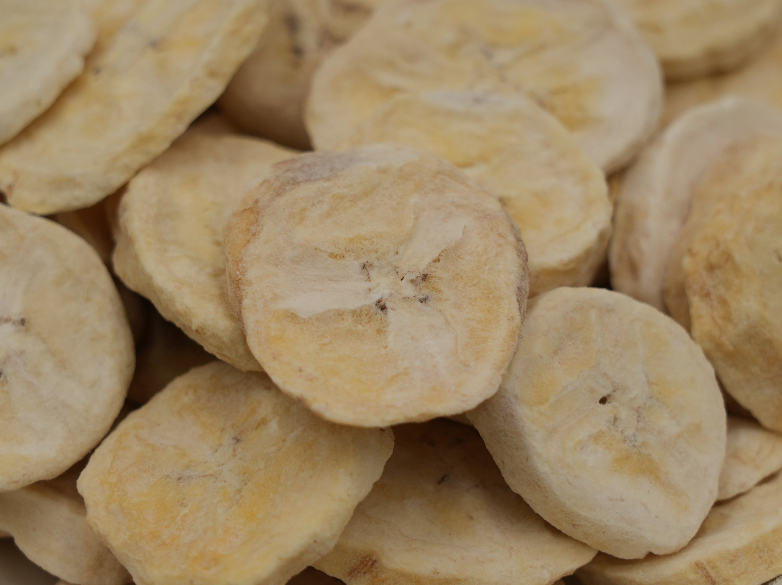 Freeze Dried Fruit Chips