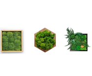 Kunming King of Dian Flowers Co., Ltd. – portarretrato 3